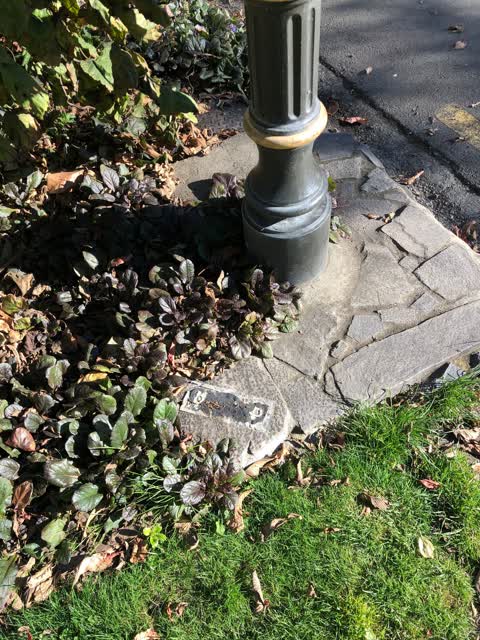 Parks, a report photo