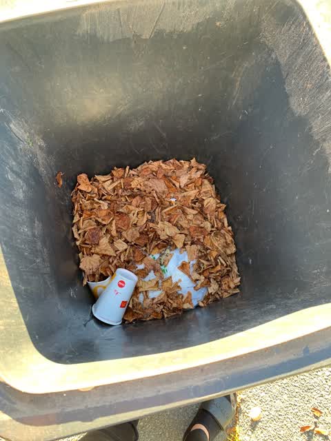 Rubbish/Recycling, a report photo