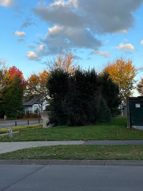 Roading/Streets, a report photo