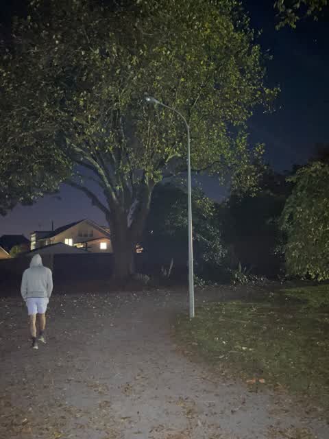 Parks, a report photo