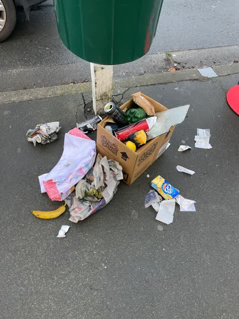Rubbish/Recycling, a report photo