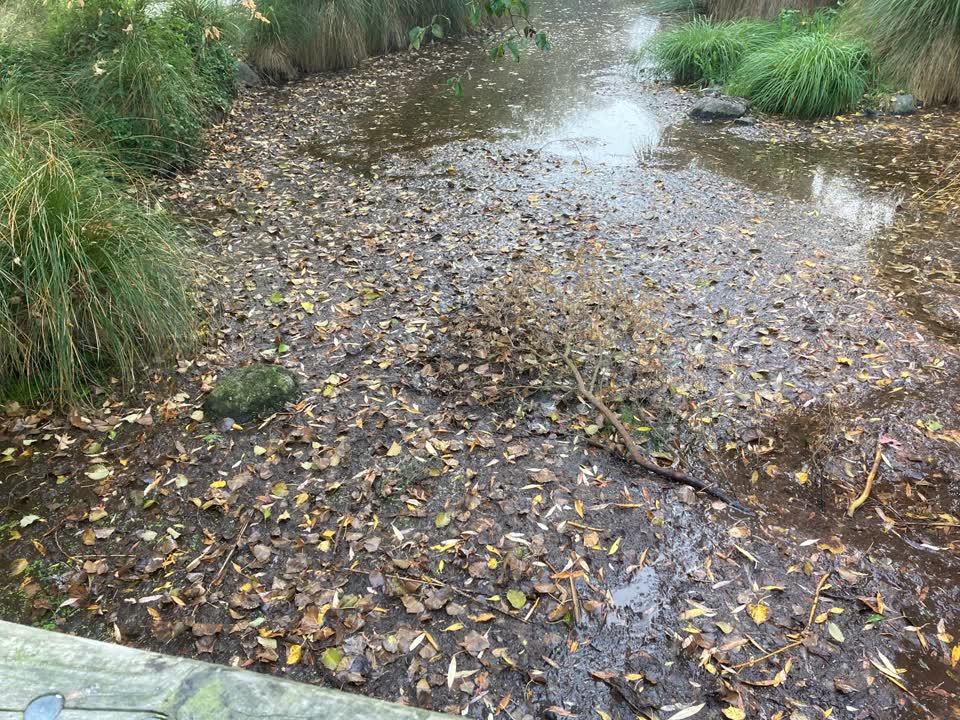 The photograph attached to this parks report