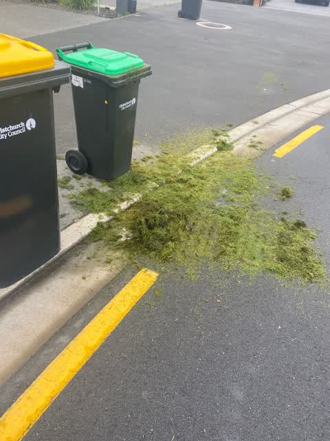 Rubbish/Recycling, a report photo