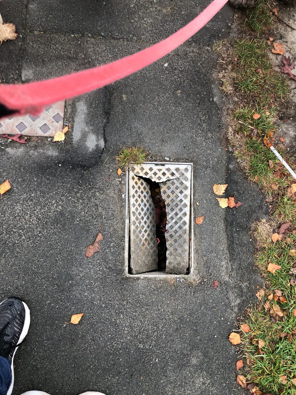 The photograph attached to this water supply report