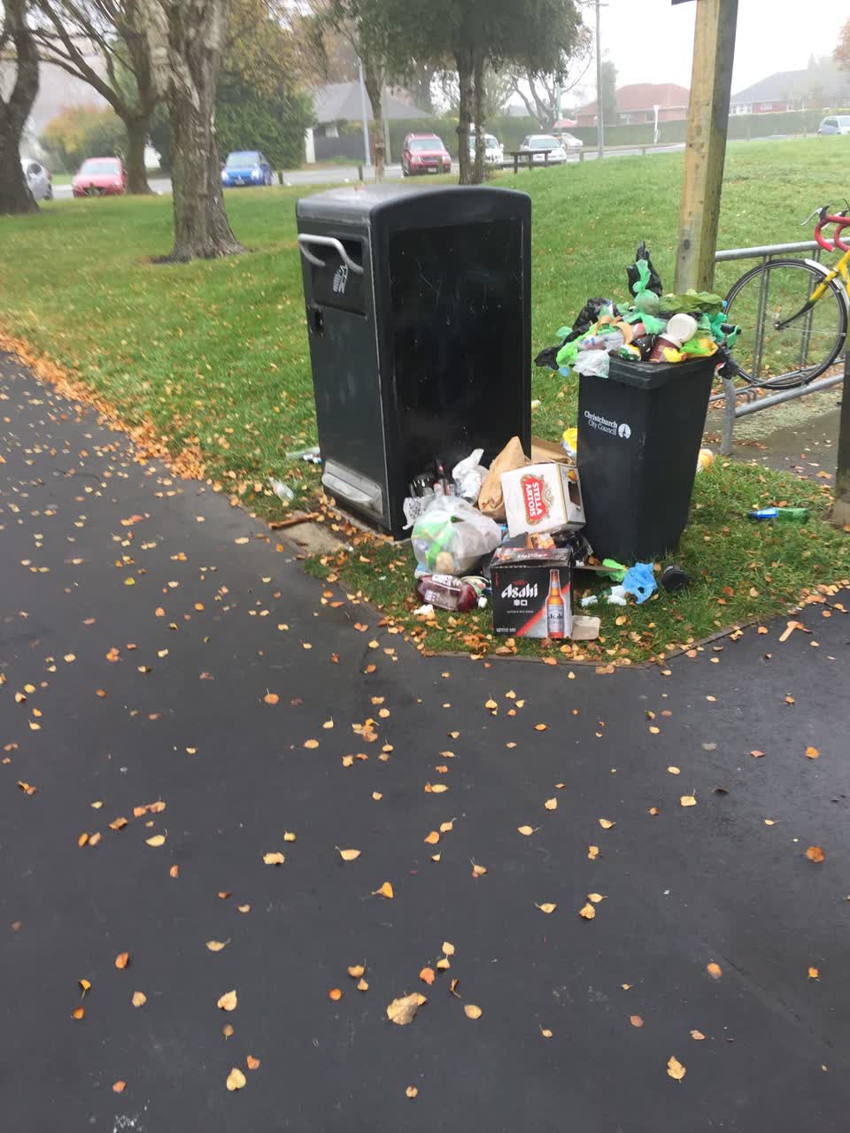 The photograph attached to this rubbish/recycling report