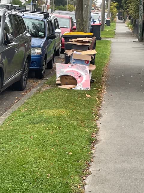 Rubbish/Recycling, a report photo