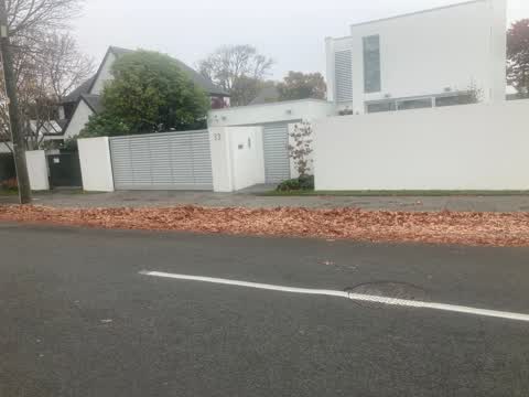 Roading/Streets, a report photo