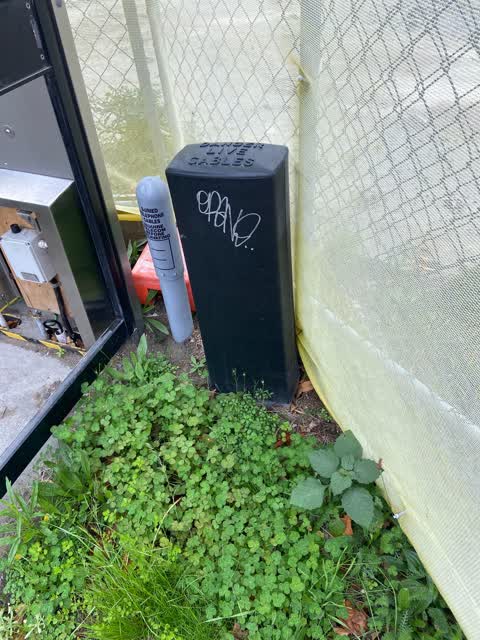 Graffiti, a report photo
