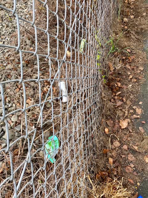 Rubbish/Recycling, a report photo