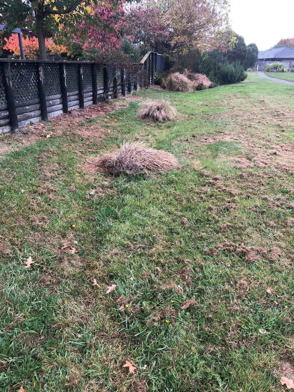 The photograph attached to this parks report