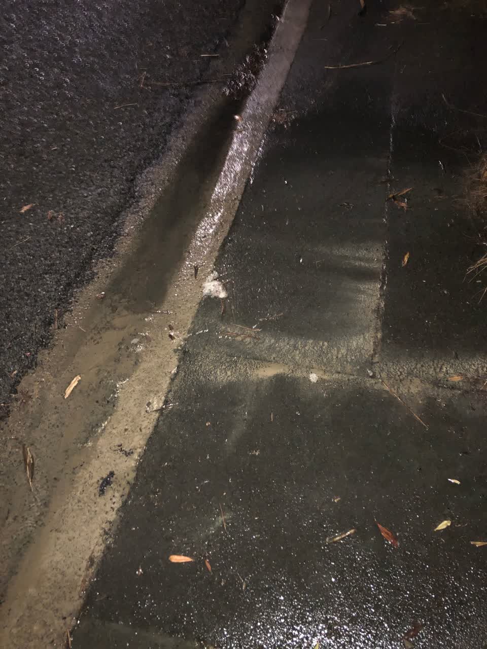 The photograph attached to this water leak report
