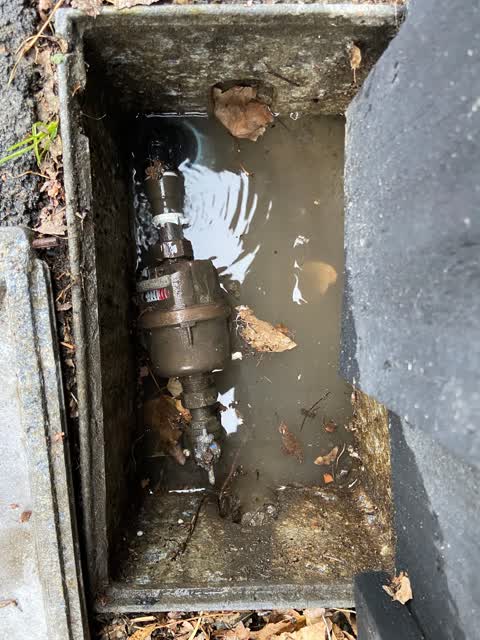 Water Leak, a report photo
