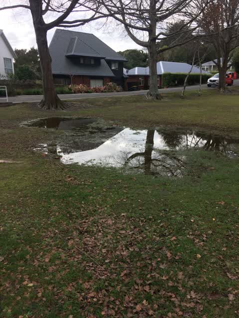 Parks, a report photo