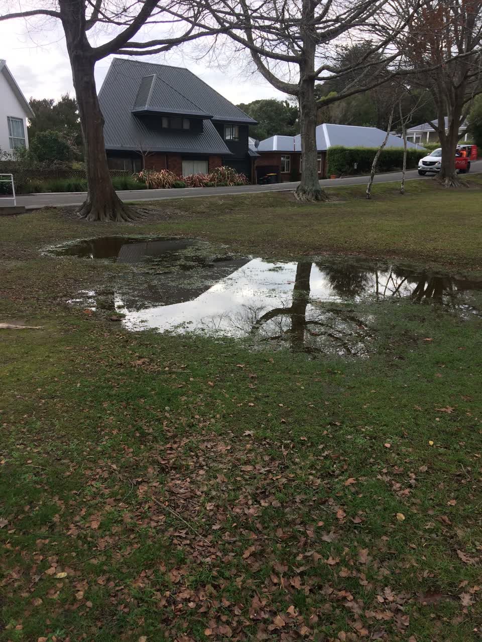 The photograph attached to this parks report