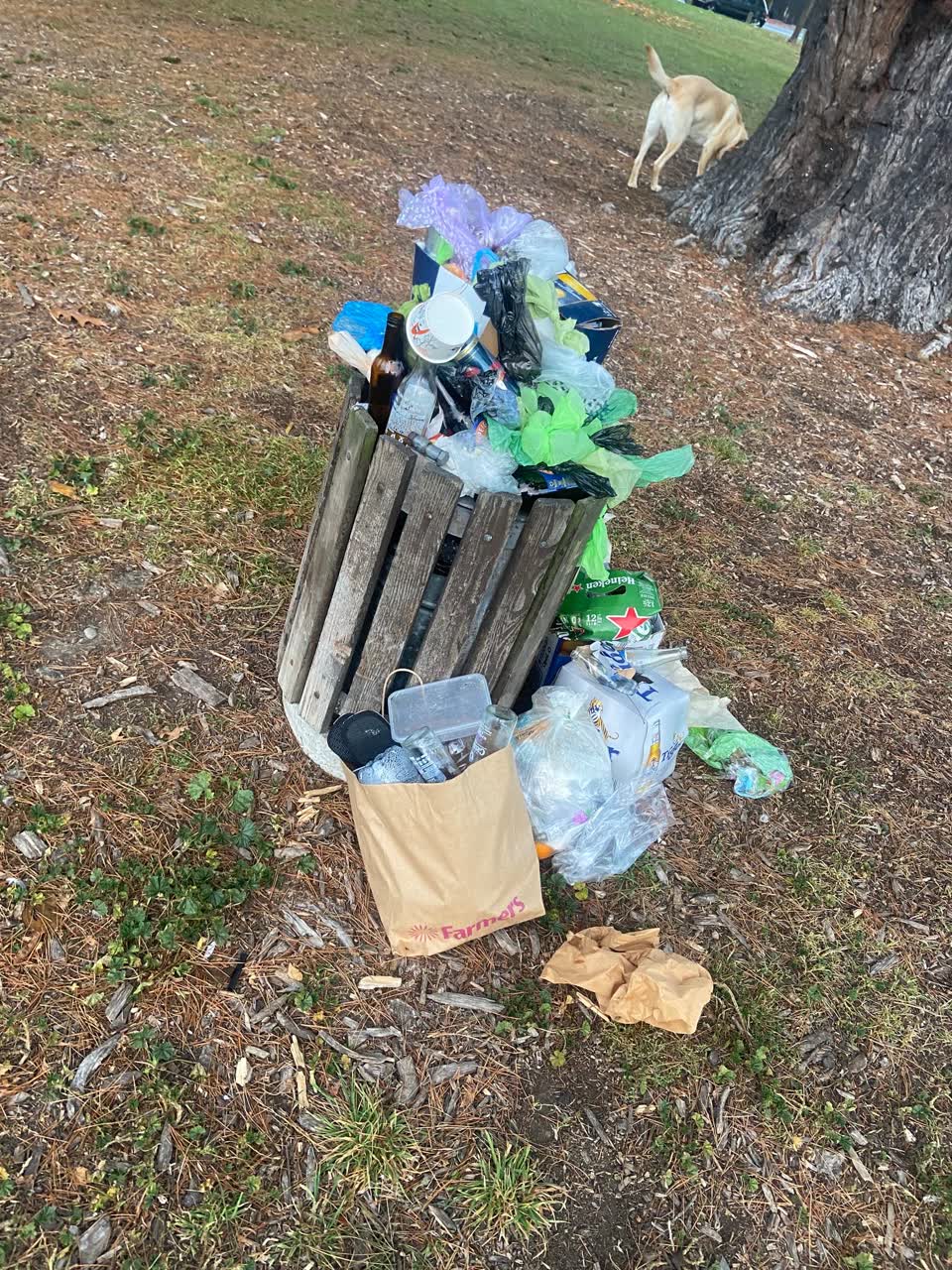 The photograph attached to this rubbish/recycling report