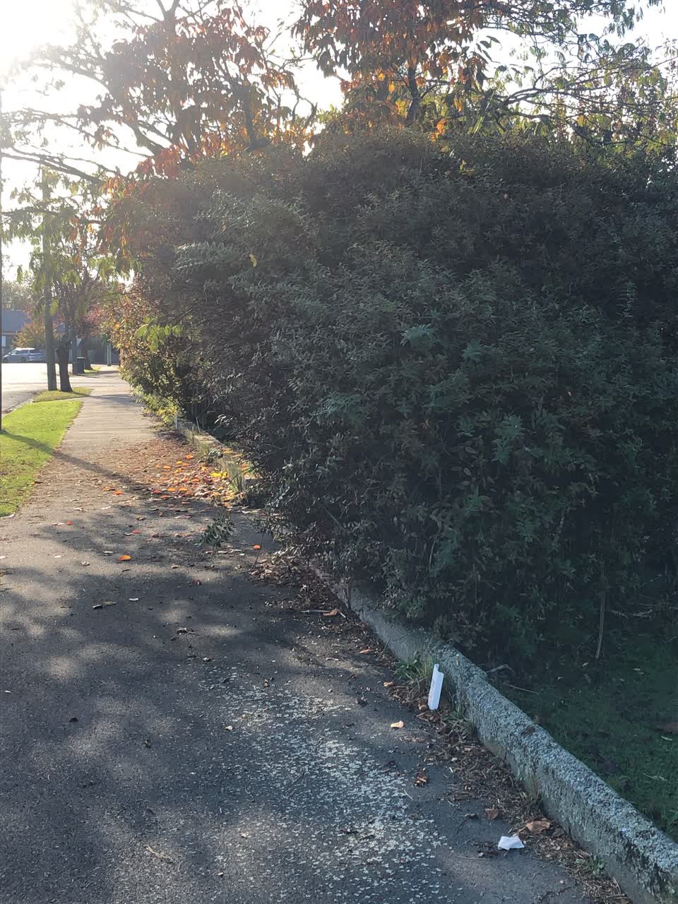 The photograph attached to this roading/streets report