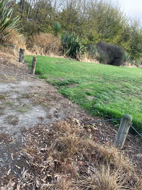 Parks — a report photo