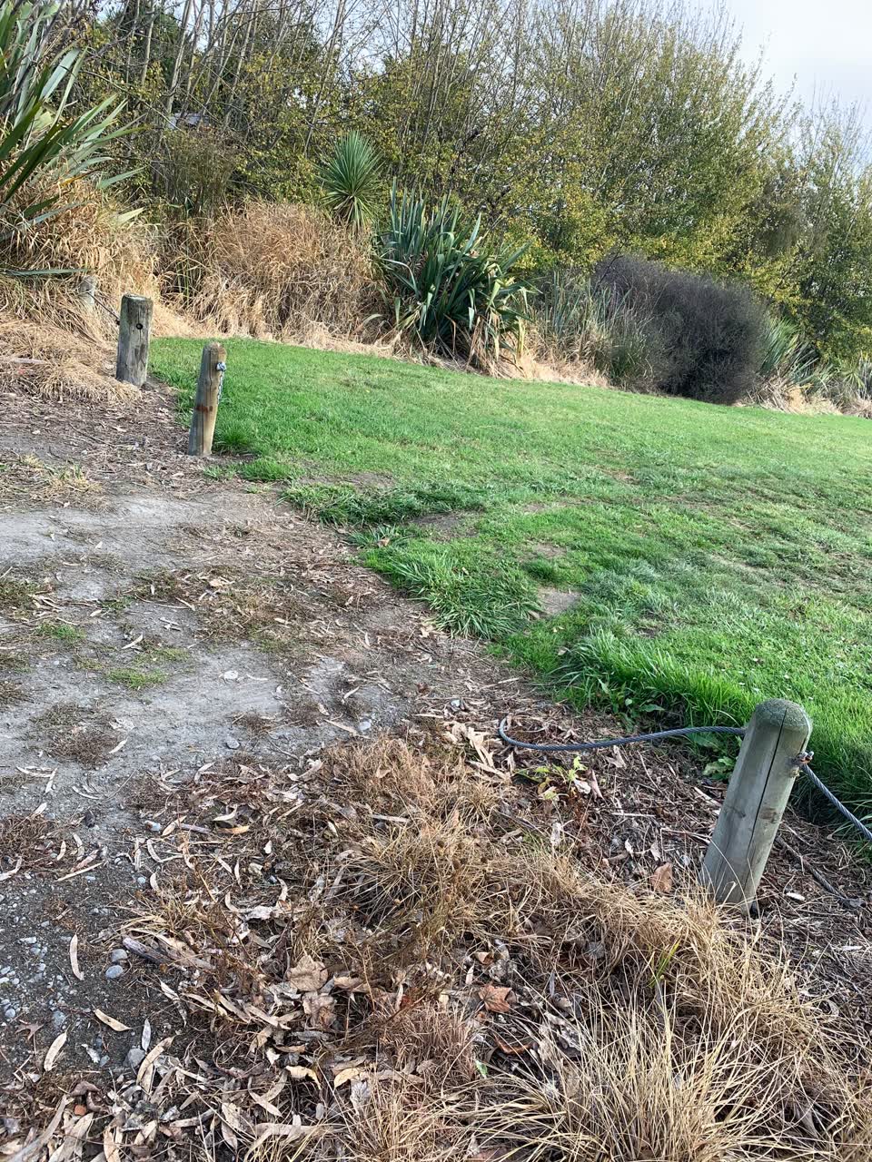 The photograph attached to this parks report