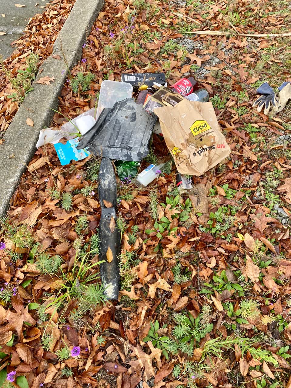 The photograph attached to this rubbish/recycling report