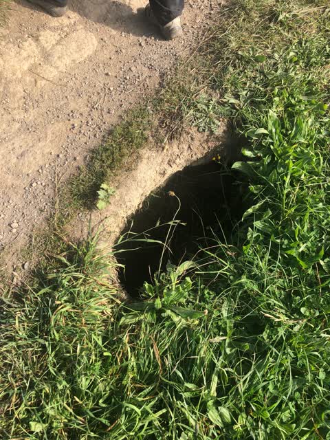 Roading/Streets, a report photo