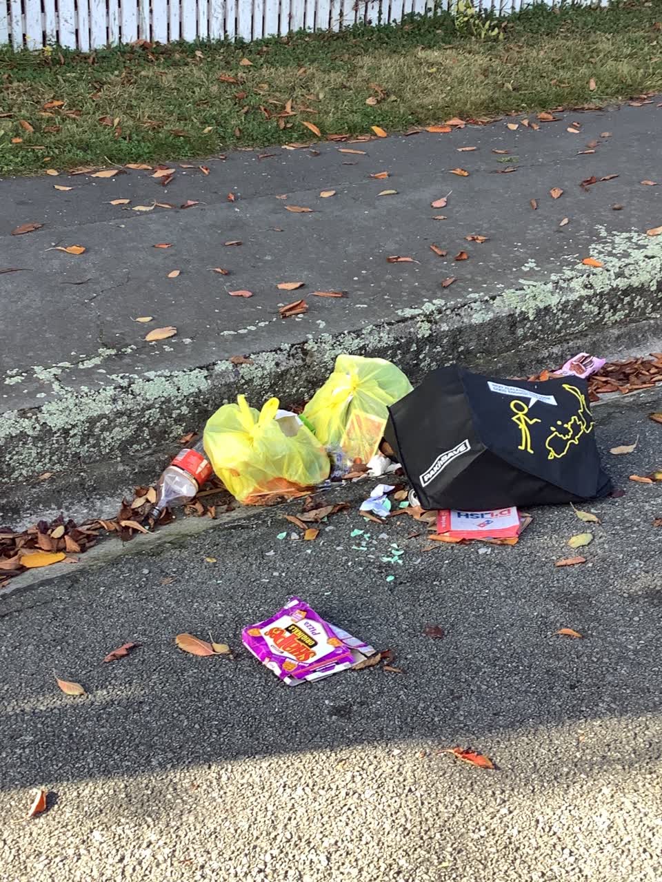 The photograph attached to this rubbish/recycling report