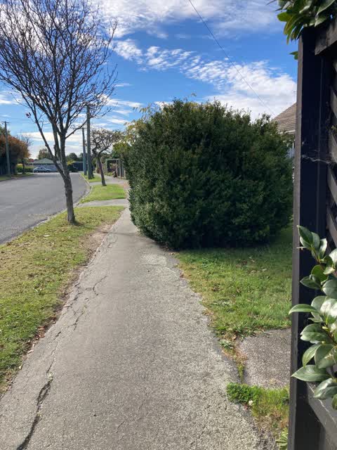 Roading/Streets, a report photo