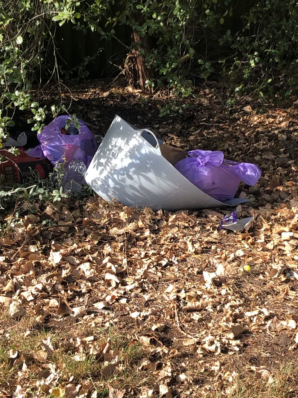 The photograph attached to this parks report