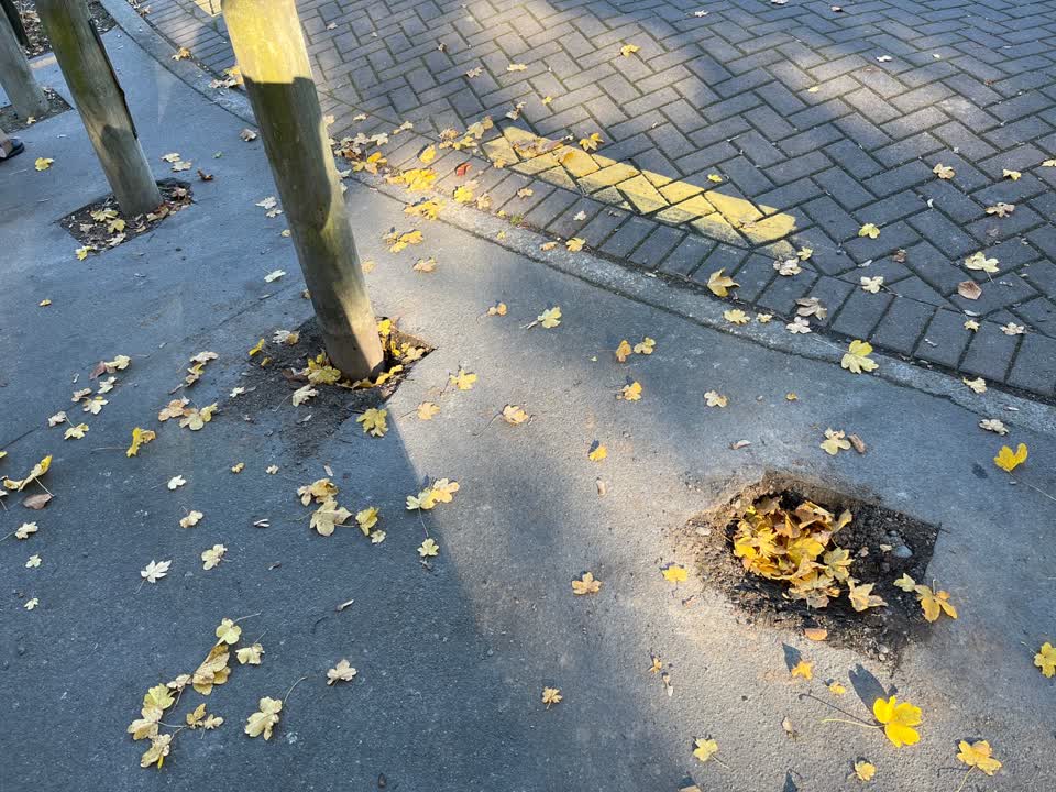The photograph attached to this roading/streets report