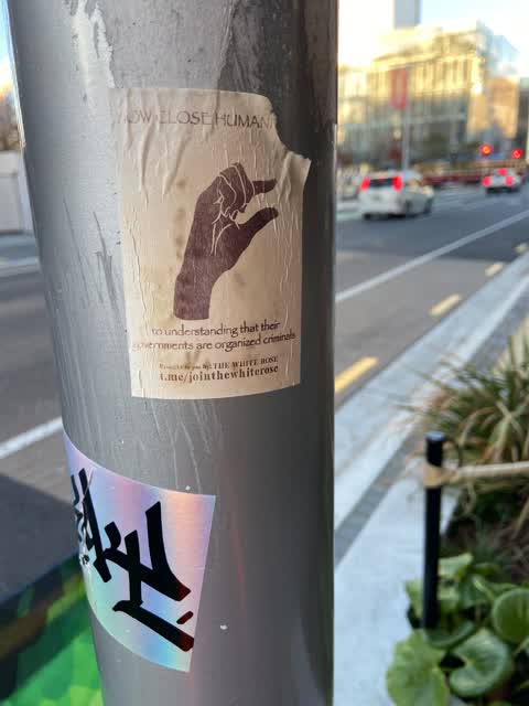 Graffiti — a report photo