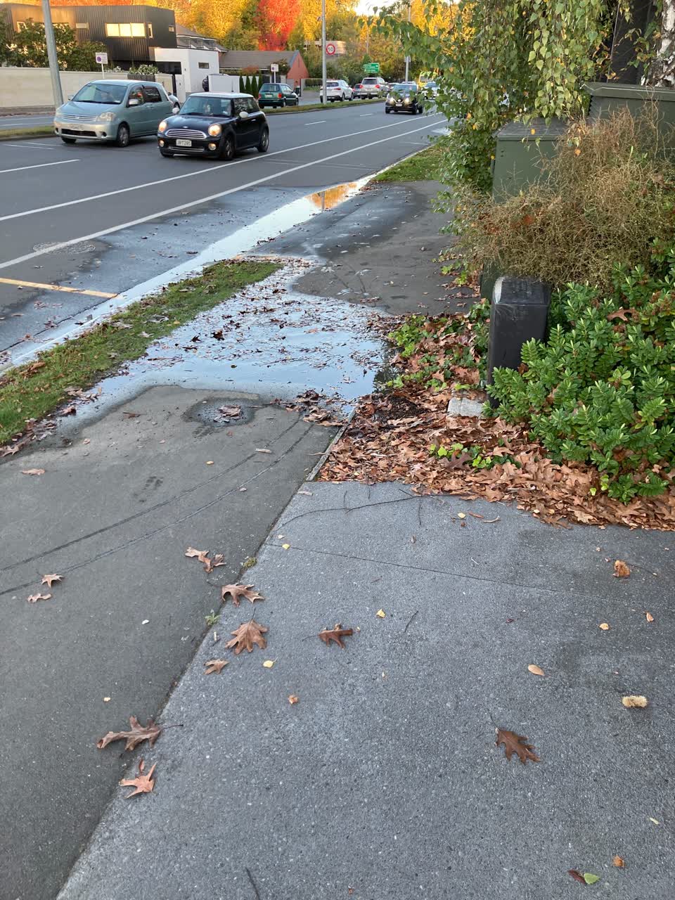 The photograph attached to this water leak report