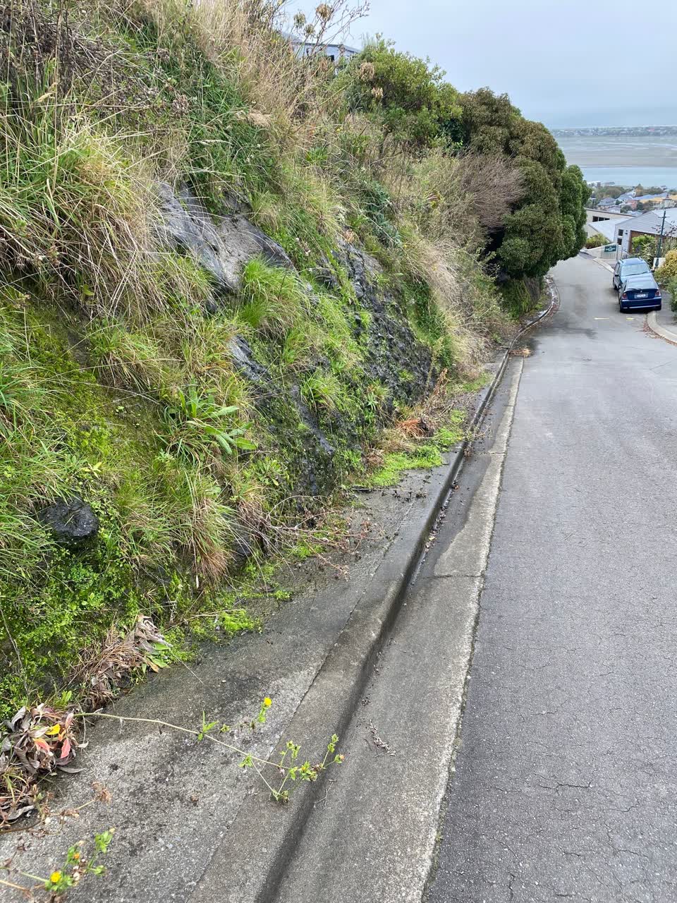 The photograph attached to this water leak report