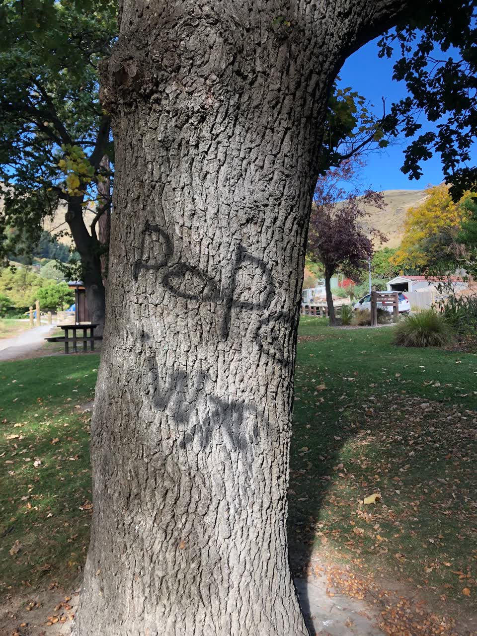 The photograph attached to this graffiti report