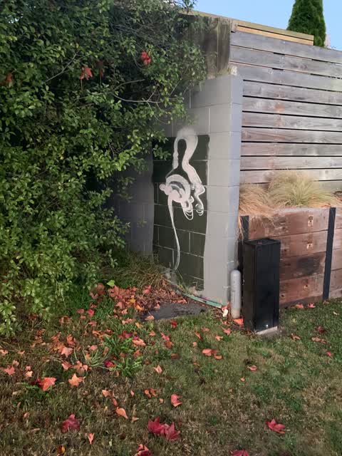 Graffiti, a report photo