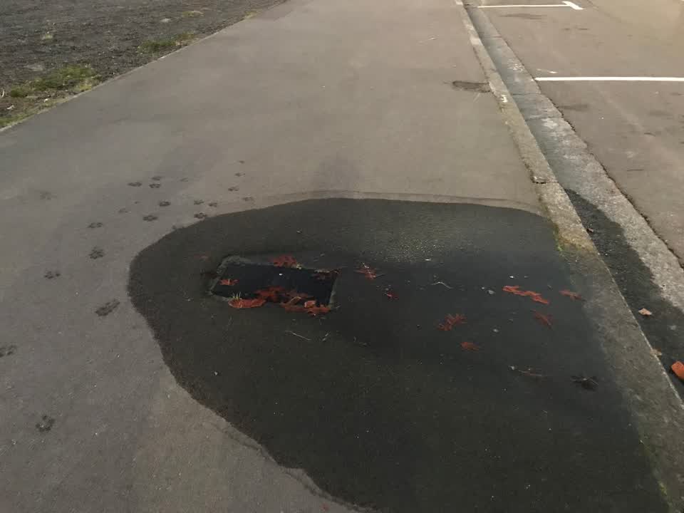 The photograph attached to this water leak report