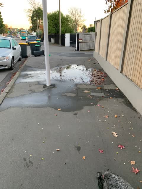 Water Leak, a report photo