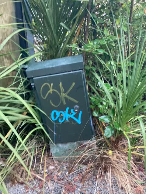 Graffiti, a report photo