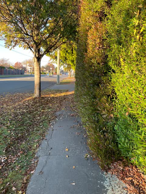 Roading/Streets, a report photo