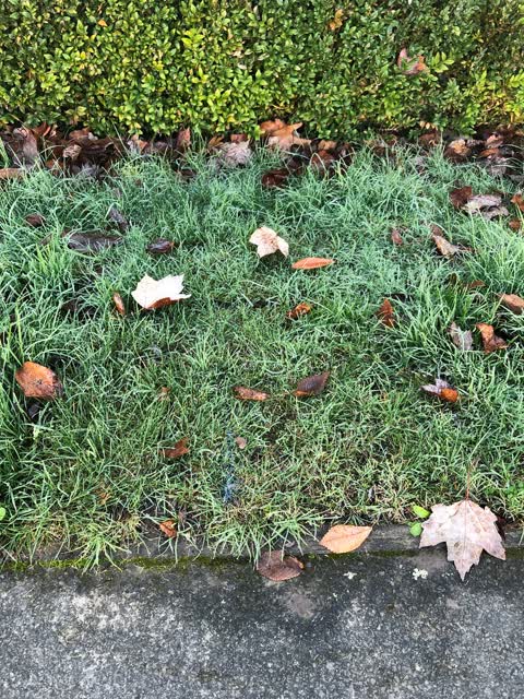 Wastewater/Stormwater, a report photo