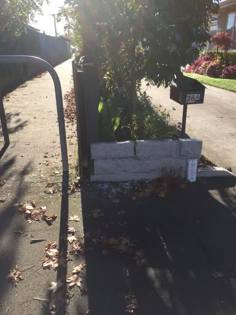Water Leak, a report photo