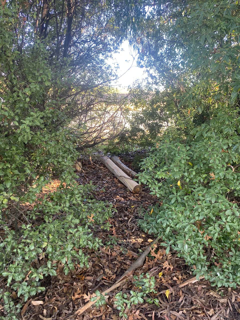 The photograph attached to this parks report