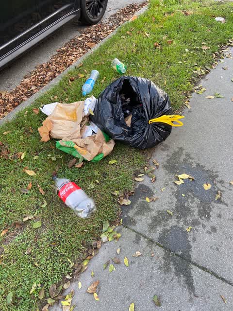 Rubbish/Recycling, a report photo