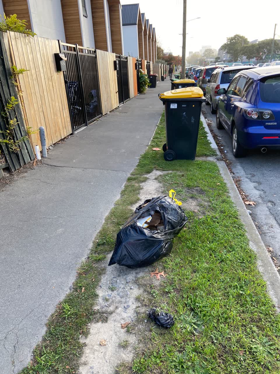 The photograph attached to this rubbish/recycling report