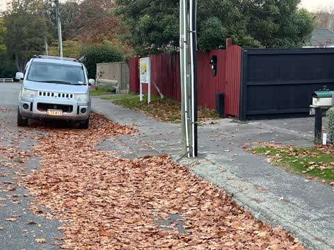 Roading/Streets, a report photo