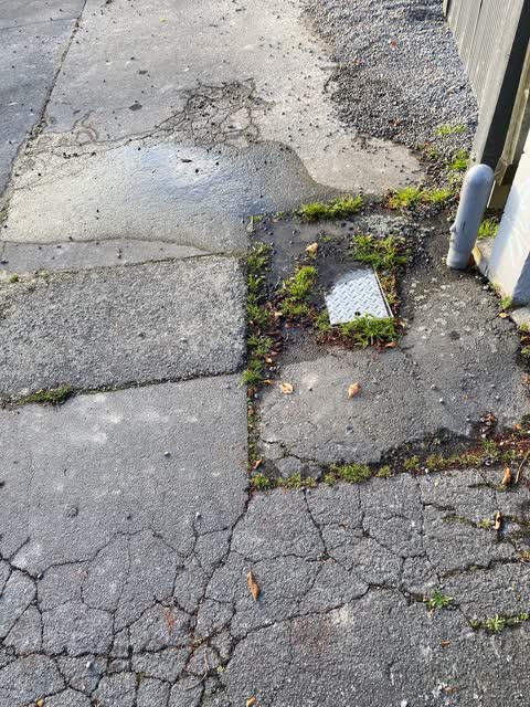 Water Leak, a report photo