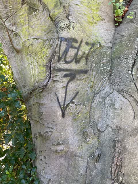 Graffiti — a report photo