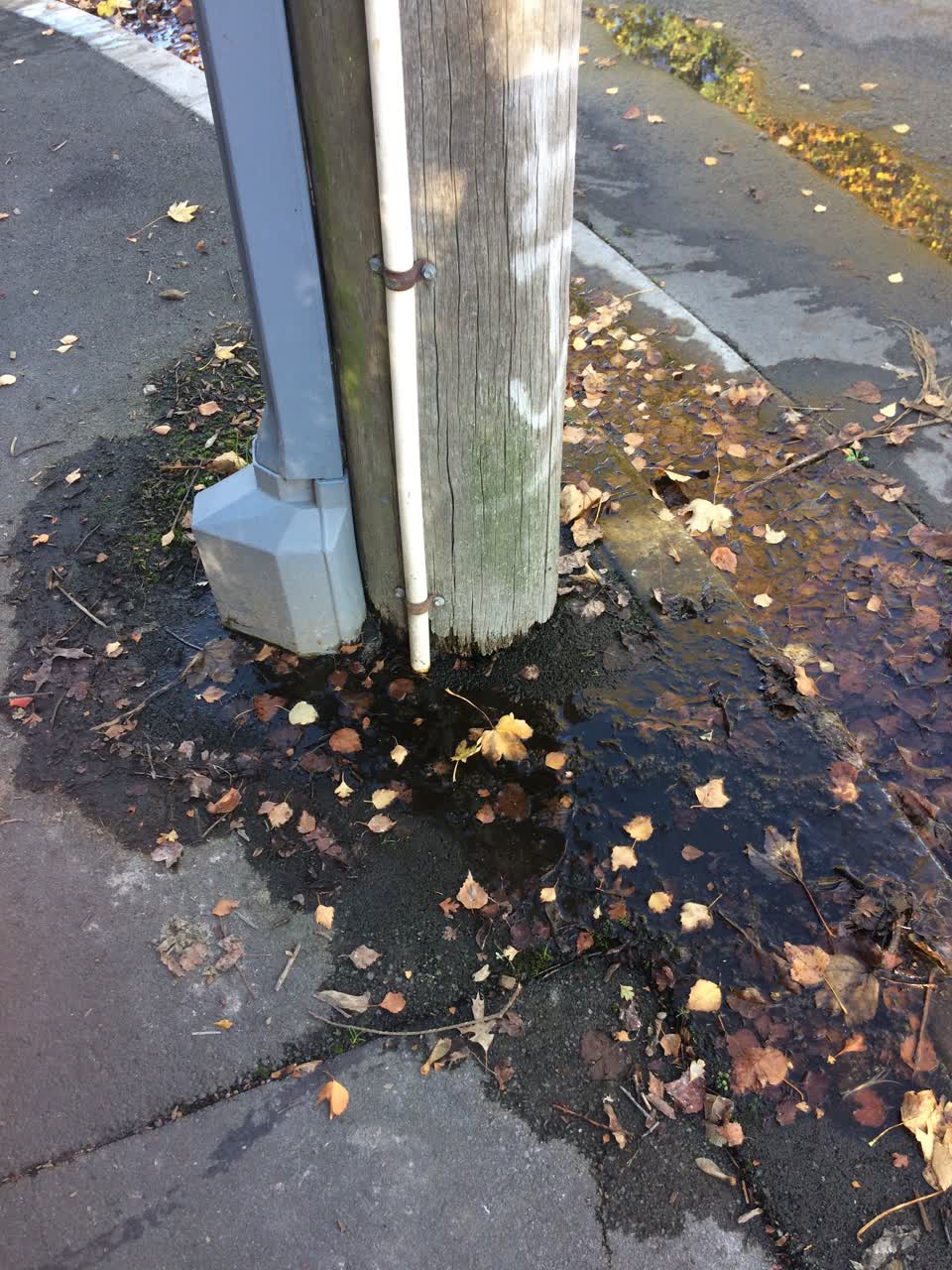 The photograph attached to this water leak report