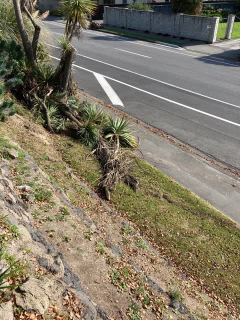 Parks, a report photo