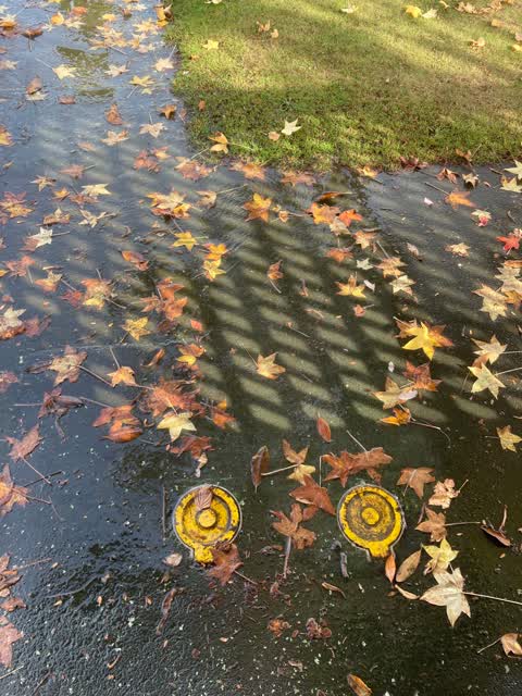 Flooding, a report photo