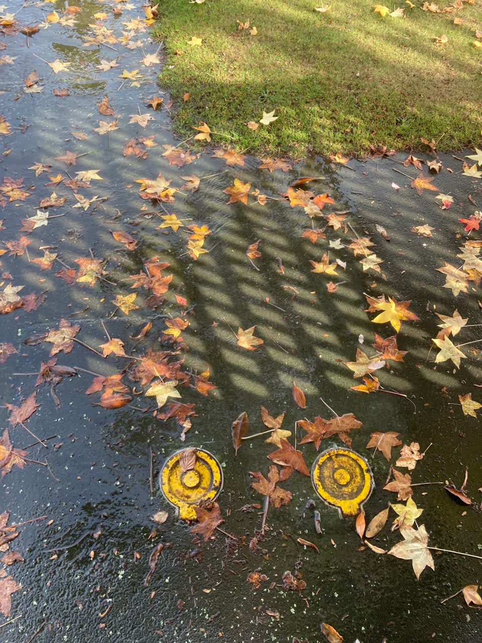 The photograph attached to this flooding report