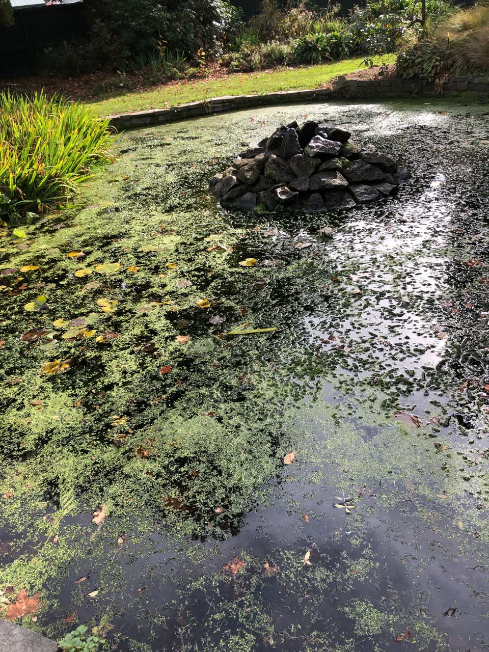 The photograph attached to this parks report